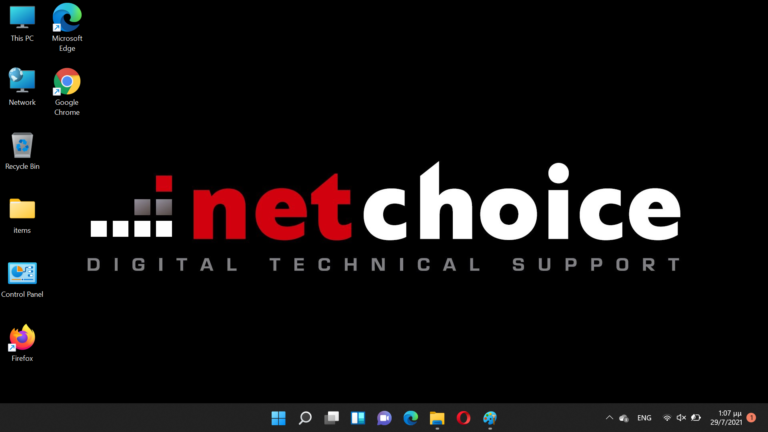 NetChoice Win11